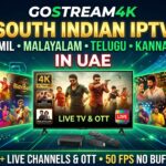 Best South Indian IPTV UAE package for Tamil Malayalam Telugu Kannada streaming